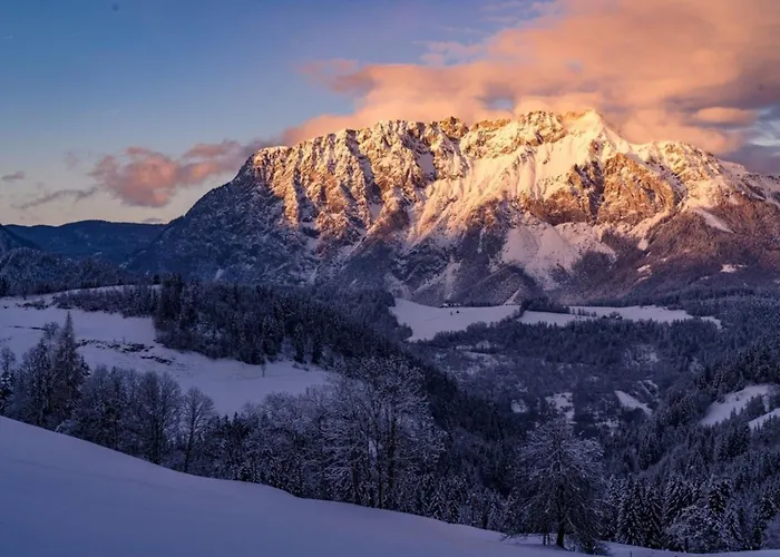 Vakantiehuis Druckfeichter Huette *
