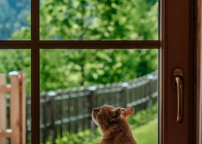 Druckfeichter Huette Vakantiehuis Pruggern